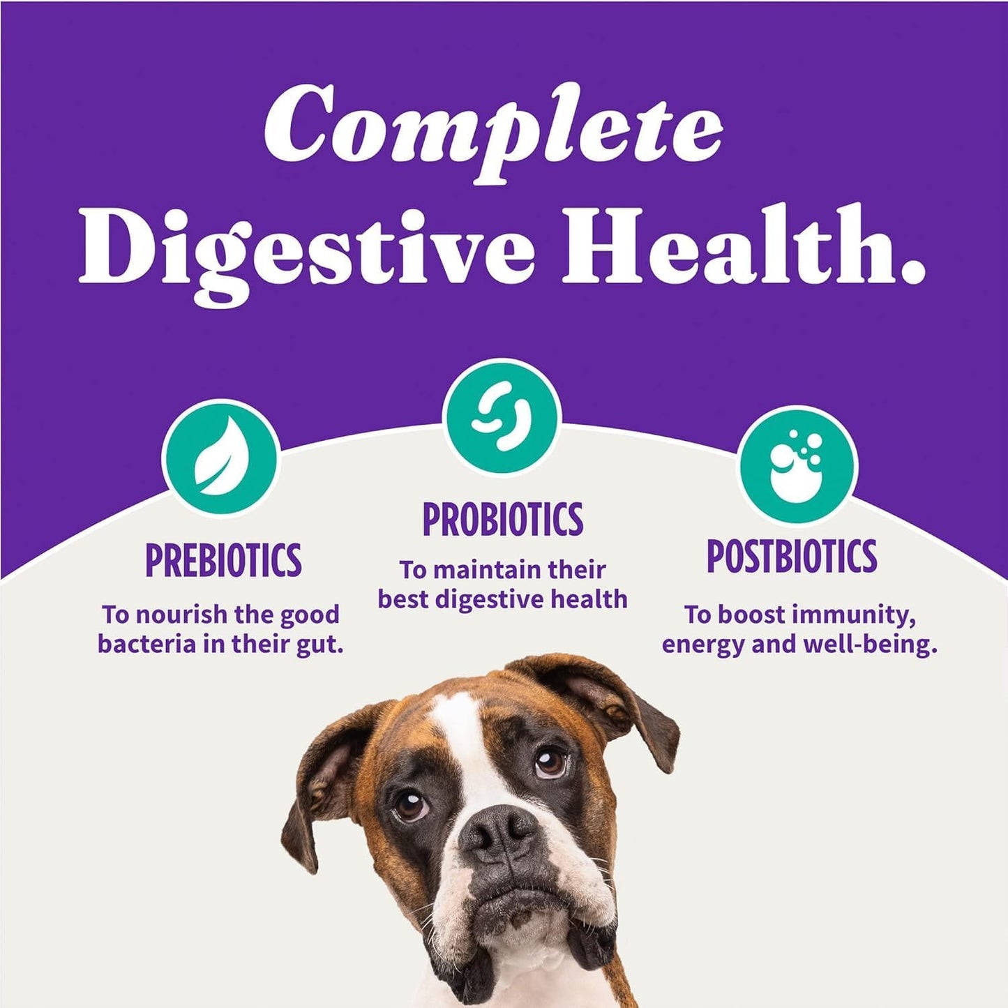 Halo Holistic Vegan Dog Food, Plant-Based Recipe with Kelp, Dry Dog Food, Complete Digestive Health, Kibble for Adult Dogs, 3.5 lb Bag