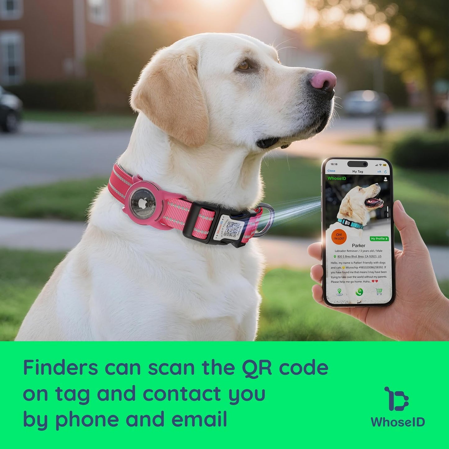 Airtag Dog Collar with QR Code, Reflective Dog Collar with Airtag Holder, Soft Padded & Safety Locking Buckle Adjustable Dog Collar for Large Dogs