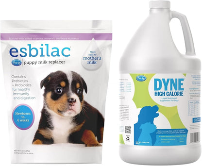PetAg Esbilac Puppy Milk Replacer Powder (5 lb) + PetAg Dyne High Calorie Liquid Nutritional Supplement for Dogs & Puppies 8 Weeks and Older (1 Gallon)
