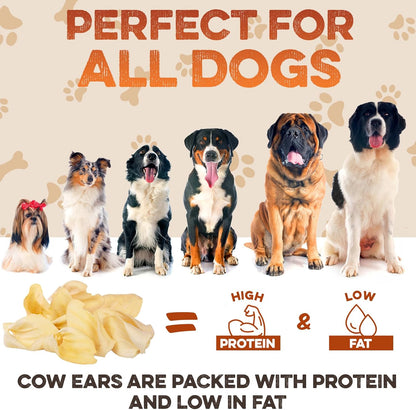 BRUTUS & BARNABY Cow Ears for Dogs – Halves 30 ct, Thick Cut, Grass-Fed Angus Beef, All-Natural No-Rawhide Dog Treat Alternative