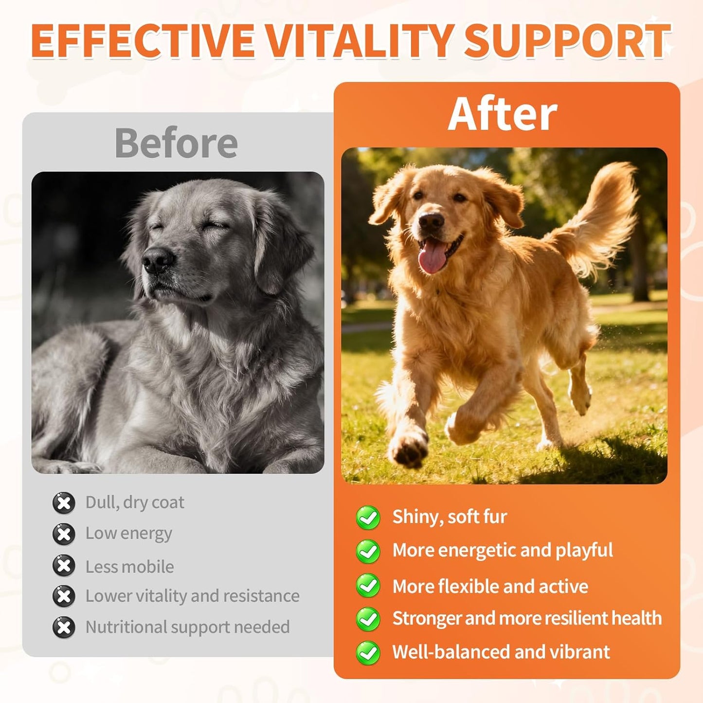Dog Multivitamin, 500 Crunchy & Tasty Chew - Supports Daily Energy, Heart Health, Skin & Coat with Taurine, Krill Oil Omega-3, B Complex Vitamins & Zinc - Daily Multivitamin for All Breeds & Ages