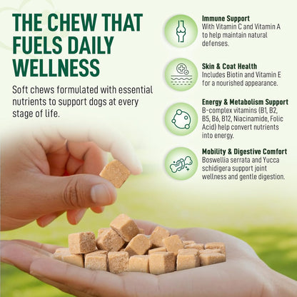 14 in 1- Multivitamin for Dogs 120 Chews - Daily Support for Active & Aging Dogs Vitamin A, D3, E, C, and B-Complex for Joint, Skin, Coat, Immune - Dog Multivitamins, Bacon Flavor