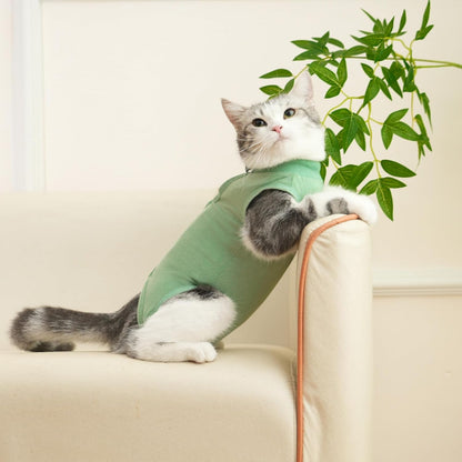 Cat Recovery Suit Cat Surgery Onesie for Female Male Cats After Surgery Spay Surgical Abdominal Wound Skin Diseases E-Collar Alternative Wear(Green, Medium)
