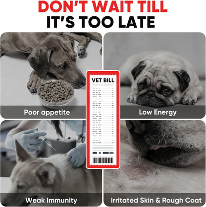 Dog Multivitamin Soft Chews – 10-in-1 Complete Wellness for Joints, Skin & Digestion