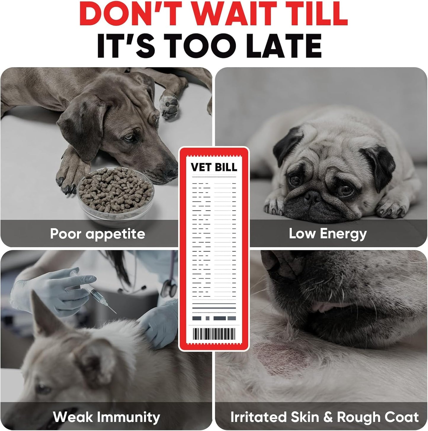 Dog Multivitamin Soft Chews – 10-in-1 Complete Wellness for Joints, Skin & Digestion