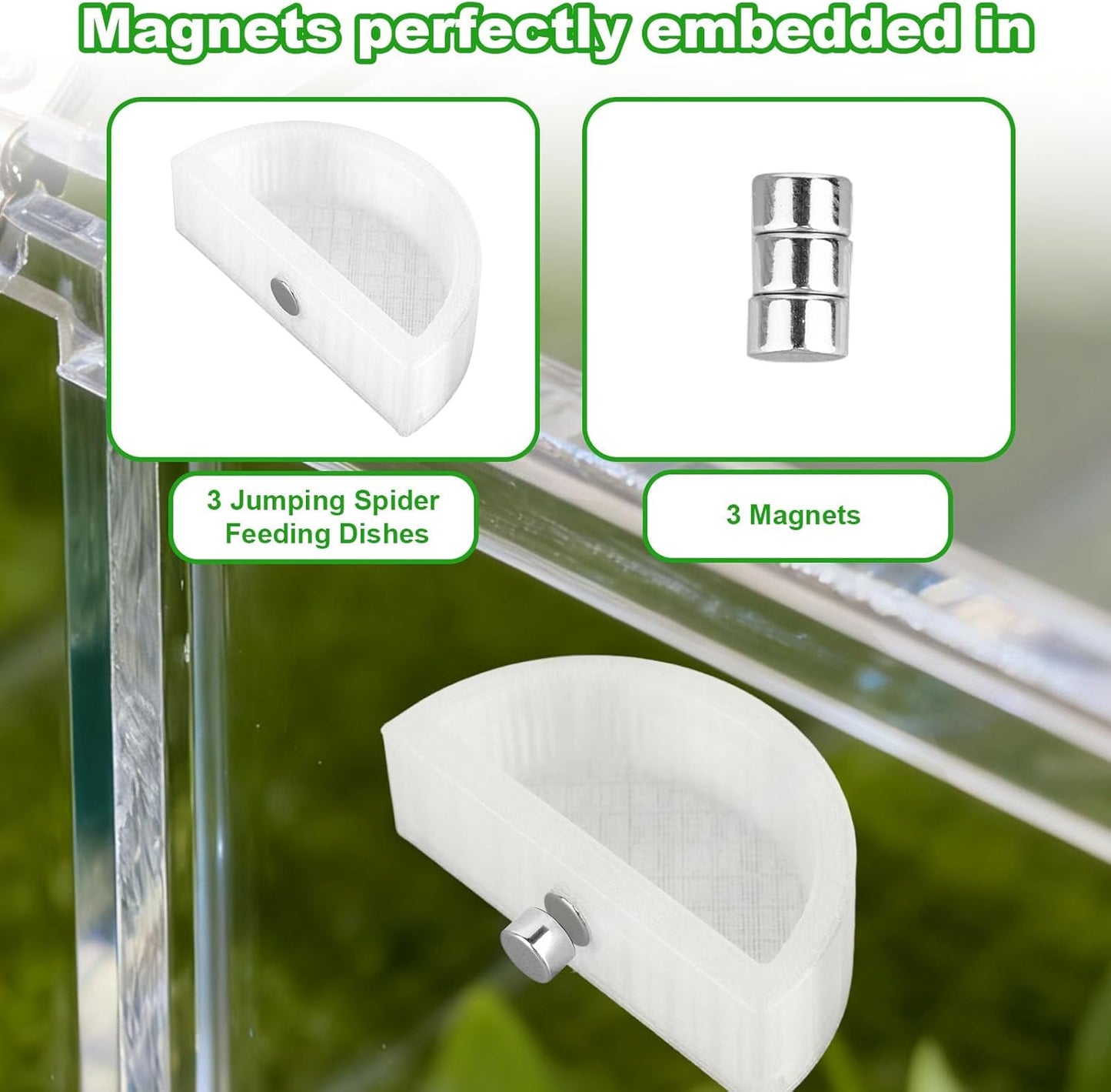 3pcs Jumping Spider Water Bowl with Magnetic, Leak-Proof Jumping Spider Food Feeding Dispenser Dish Enclosure Decor Accessories for Tarantula Mantis Small Reptiles and Pets (Half Round)