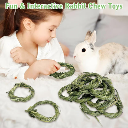 Hamiledyi 12 PCS Natural Rabbit Timothy Hay Toy Donut Guinea Pig Chew Toys Handmade Small Animals Treats Timothy Grass Molar Teeth Grinding Snacks for Bunny Chinchilla Hamster Gerbil Rat