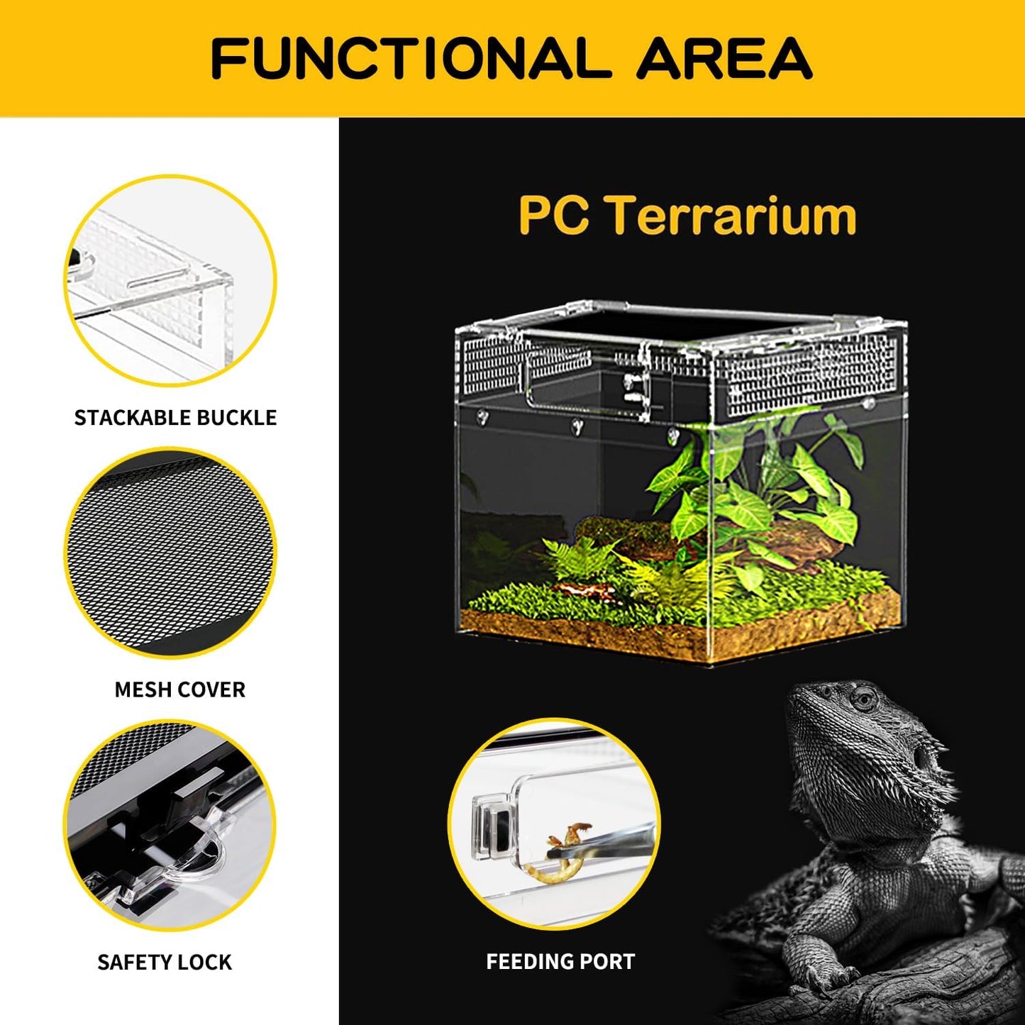 Reptile Mini PC Terrarium Amphibian Tank, 8"x8"x6"Jumping Spider Enclosure Multi-Habitat Reptile Terrarium for Tarantula, Hermit Crab, Insect, Fish, Frog, Small Bearded Dragon, Lizard
