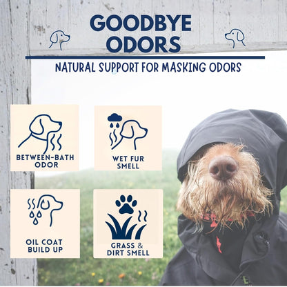 Naturally-Derived Dog Cologne Spray, Long-Lasting Deodorizing Odor Control, Freshens Coat Between Baths, No Parabens or Alcohol, Safe For Sensitive Skin, Made In USA, 16 fl oz