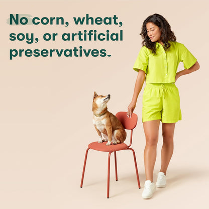 Jinx Kibble Sauce for Dogs - Premium Dog Food Kibble Topper Sauce & Flavor Booster Made with Chicken Bone Broth - All-Natural Ingredients, No Additives or Fillers - 12 Oz