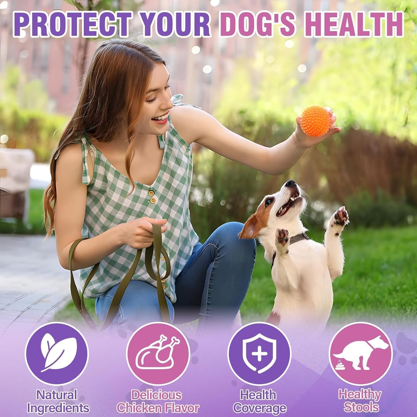 Dog Anal Gland Soft Chews 150 Stop Scoot for Dogs Supports Anal Gland Bowel Function Digestive Health Fiber Pumpkin Supplement for Dogs Pet Diarrhea Bowel Support Probiotics Digestive (Liver Flavor)