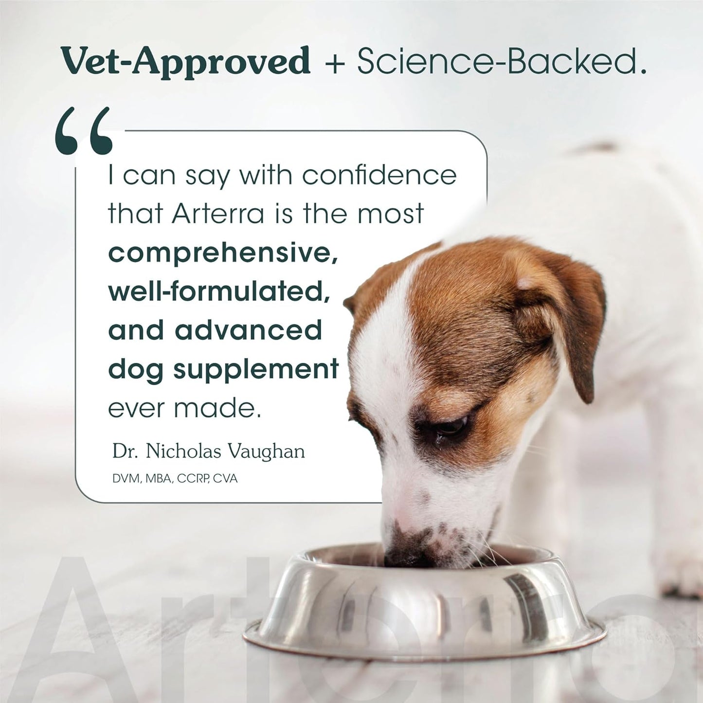 Longevity Multivitamin for Adult Dogs – 46 Ingredients for Gut, Immune & Brain Health – Daily Supplement & Food Topper for Whole Body Wellness | Sample Size