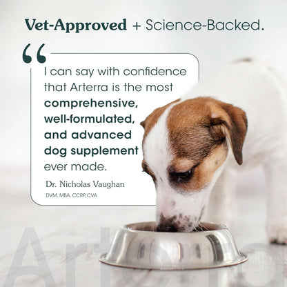 Longevity Multivitamin for Adult Dogs – 46 Ingredients for Gut, Immune & Brain Health – Daily Supplement & Food Topper for Whole Body Wellness | Sample Size