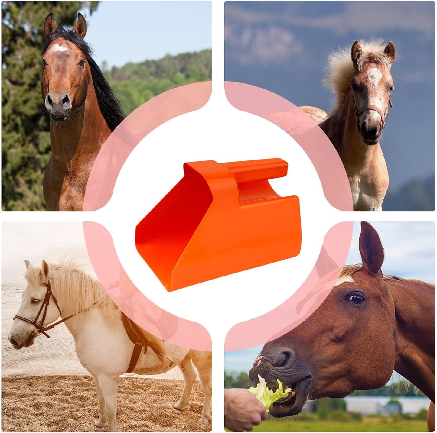 Feed Scoop – Heavy-Duty Livestock Scop, Large Scoop | Farm Grain Shovel, Food Holder, Stackable Feeding Tool, Animal Care Accessory, Strong Daily Supply for Horses, Goats, Sheep, Poultry Feed