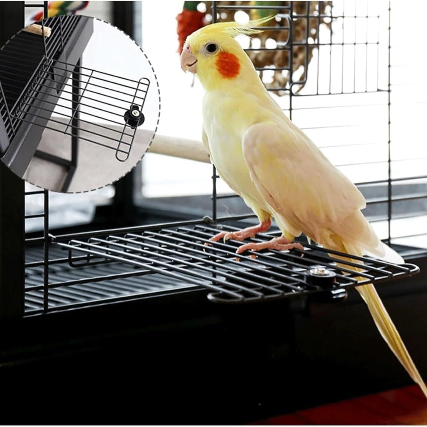 Bird Cage Clear Acrylic Bird Aviary Portable Tall Tiel Cage Parrot Cage Flight Birdcag Bird Carrier with Wooden Stand Travel Cage(White)