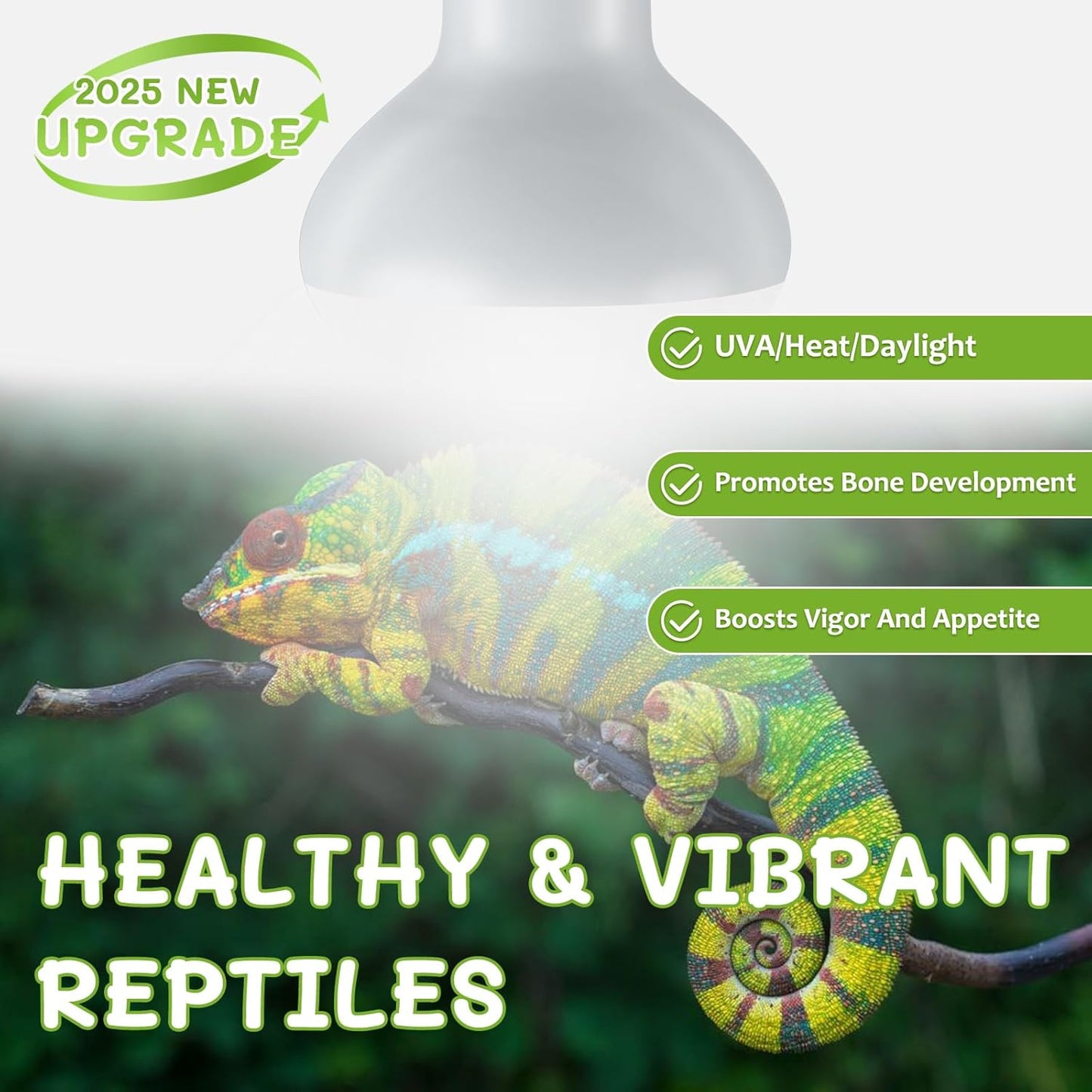 Reptile Heat Lamp Bulbs, Simulate Natural Sunlight Heat Light Bulb, 2 Pack 100W Amphibian Terrarium Basking Spot Lamp for Reptile, Bearded Dragon, Lizard, Turtle, Snake