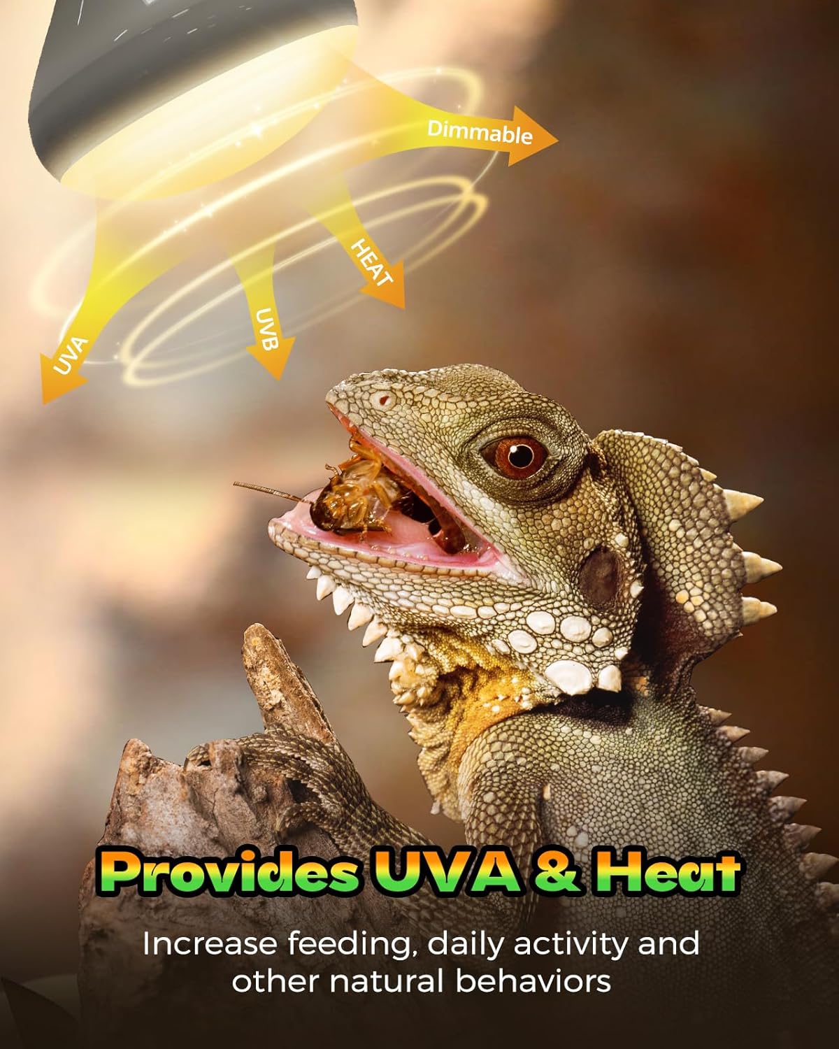 Reptile Heat Lamp 2 Pack, 100W Heat Lamp Bulbs for Reptiles, Amphibians Basking Heat Lamp Bulbs, UVA Daylight Basking Light for Reptiles, Bearded Dragon, Lizard, Turtle, Chicken