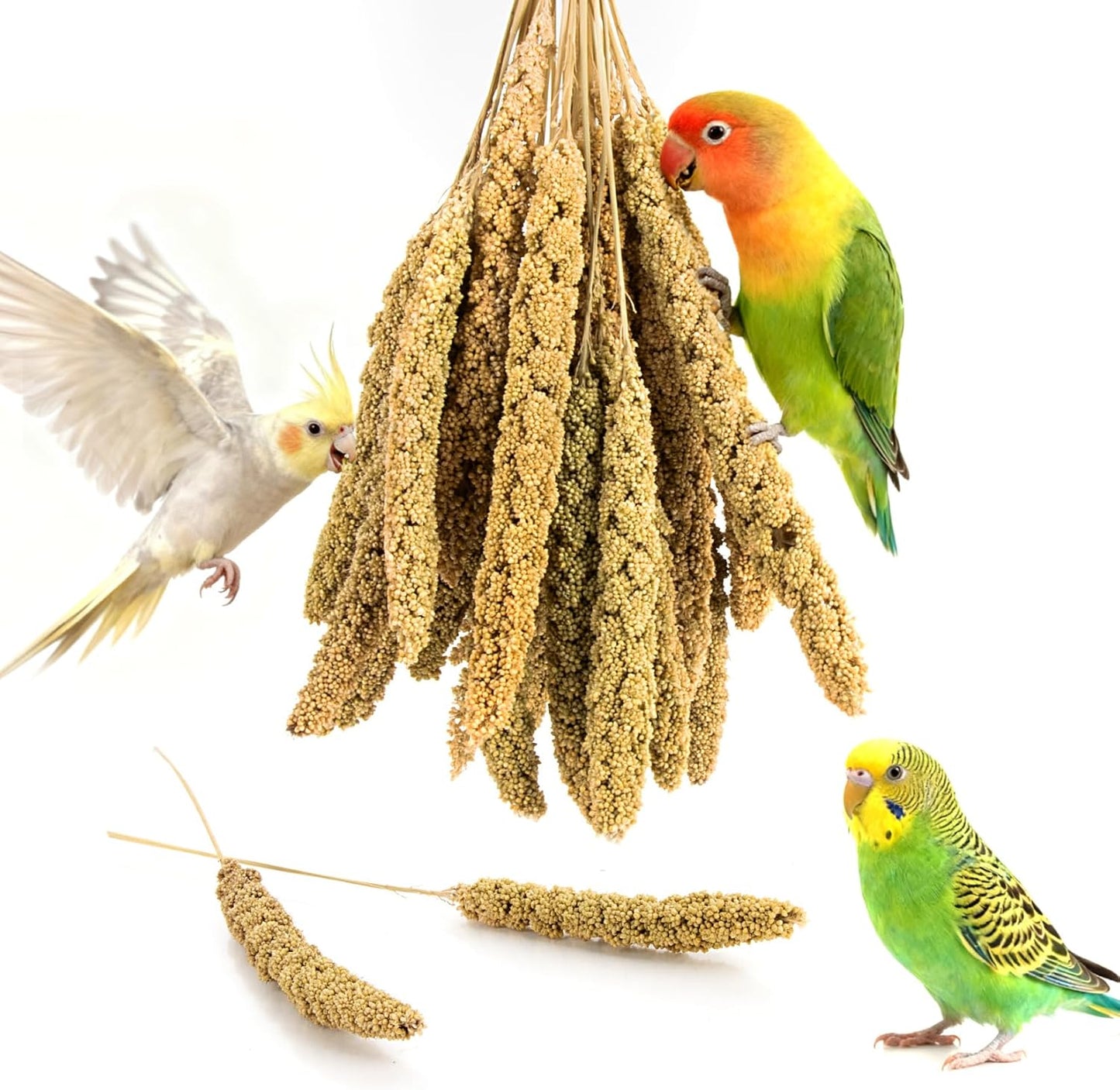 Sukh Millet Spray for Parrots - 30 Pcs Natural Sun-Dried Bird Treat, 12.6 Inches Bird Millets for Cockatiels, Budgies, Parakeets, Finches, Canaries and Pet Birds