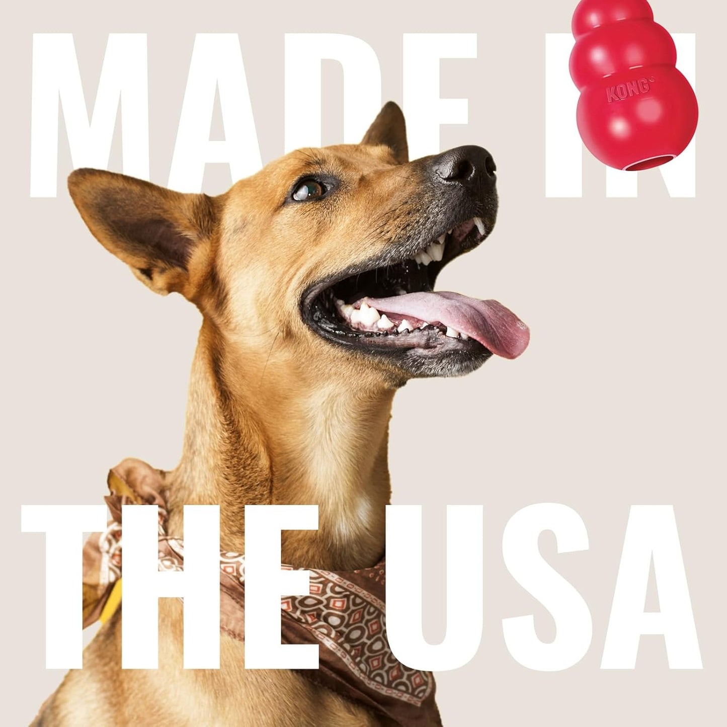 KONG Extreme Ball with Rope - Dog Fetch Toy with Rope for Easy Throwing - Durable Dog Ball Toy for Tug, Playtime & More s Most Durable Natural Rubber - Black - for Large Dogs