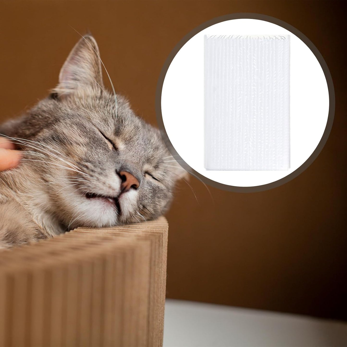 4PCS Soft Cat Brush for Grooming, Kitten Brushes for Indoor Kittens, Gentle Cat Tongue Brush with over 1000 prickly serrations for Sensitive Cats, Daily Grooming & Enhancing Bonding