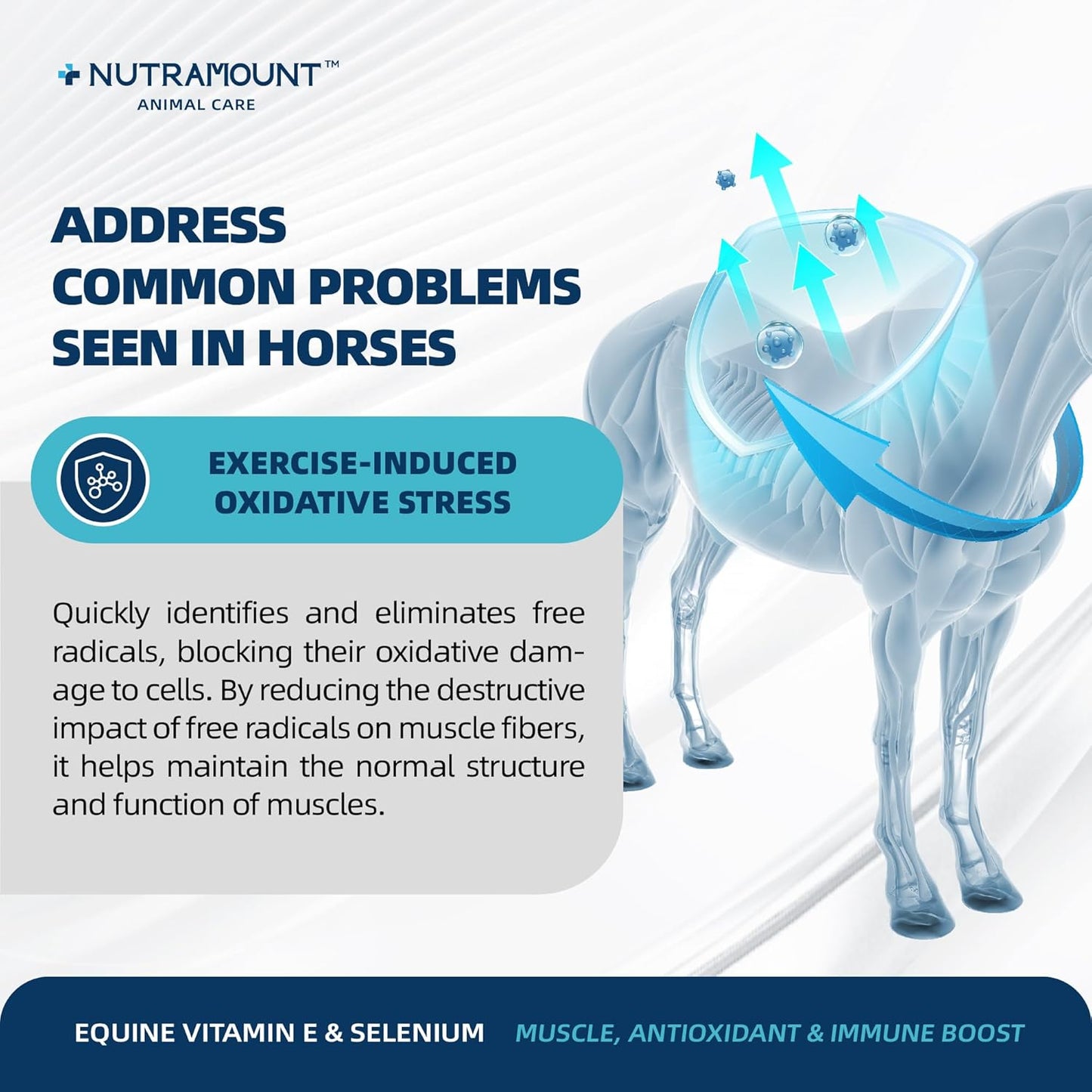 Balanced Natural Vitamin E & Selenium Powder Horse Supplement Supports Overall Health and Performance 30-Day Supply