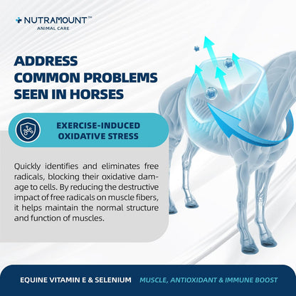 Balanced Natural Vitamin E & Selenium Powder Horse Supplement Supports Overall Health and Performance 30-Day Supply