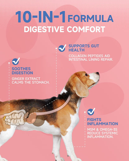 Dog Mushroom Drops + Dog Collagen Drops | Organic Mushroom Supplement & Liquid Collagen for Cats | Supports Joint, Immune, Skin & Coat Health | Roast Chicken Flavor | for All Ages