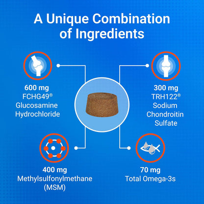 Nutramax Cosequin for Dogs Joint Health Supplement, Contains Glucosamine, Plus Chondroitin, MSM and Omega-3s, Supports Joint and Skin and Coat Health, Soft Chews, 120 Count