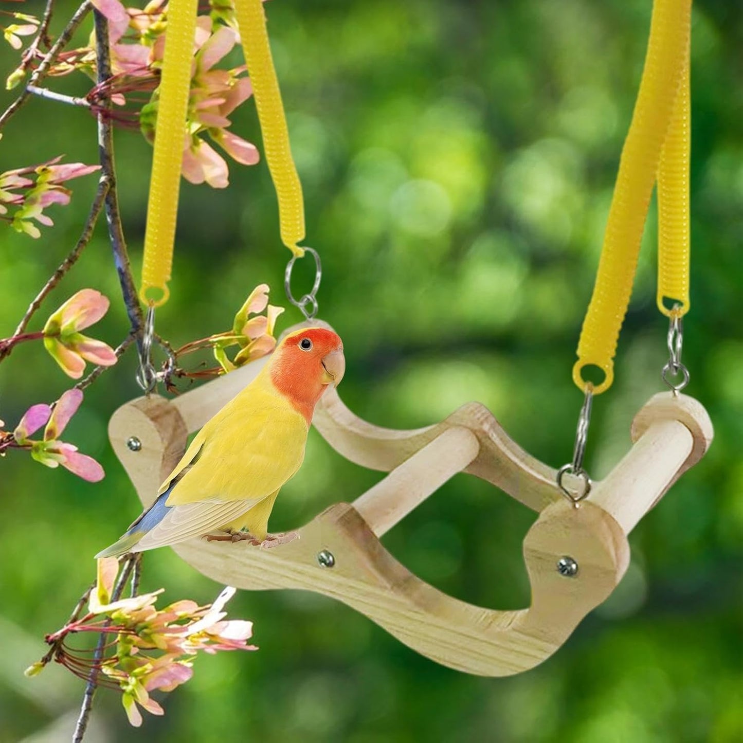 Visibility Cage Toy, Swing Wooden Spring Swing Toy for Shotet - Fun Cockatoo Hammock, Bird Feeder Activity Accessory for Waveless Lovebirds