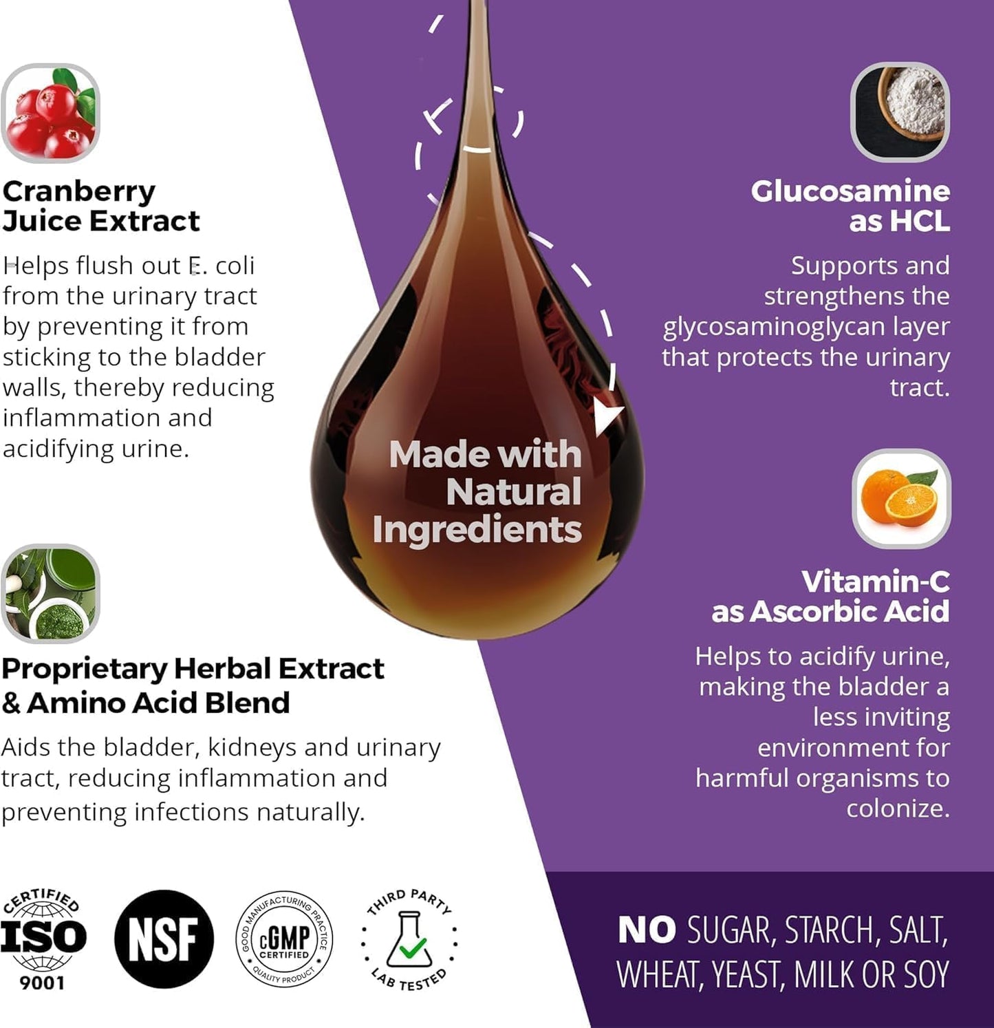 Cat & Dog Urinary Tract Treatment, Bladder & Kidney Support for Dogs and Cats, Powerful Yet Gentle Pet Care, with Liquid Cranberry & Glucosamine, Salmon Flavor, 6 oz Bottle, 2 Pack