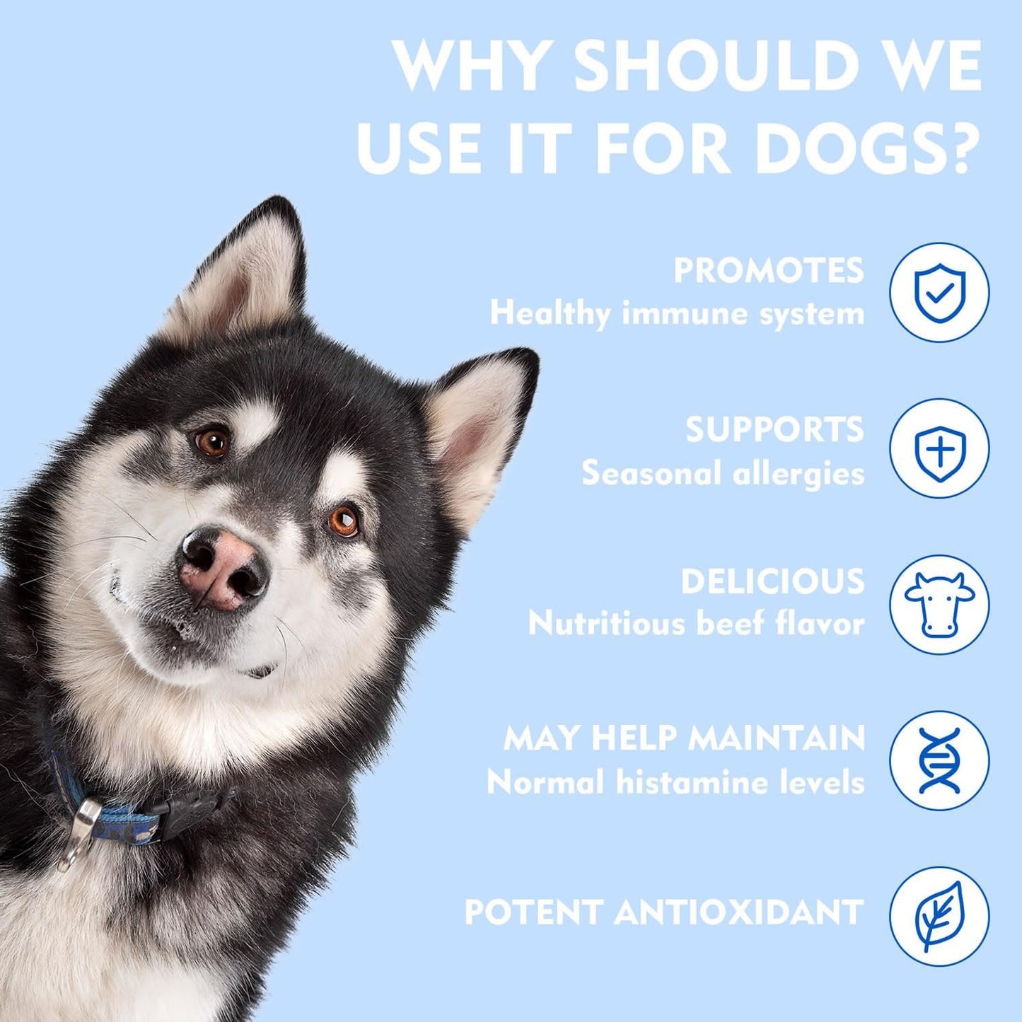 Quercetin + Bromelain for Dogs – Immune & Allergy Support Supplement, Inflammatory Relief, Antioxidant Formula, 120 Beef-Flavored Chewable Tablets