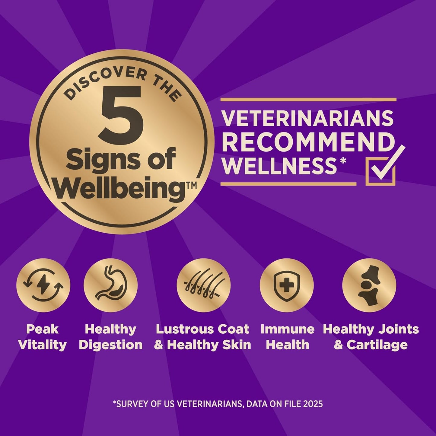 Wellness CORE+ Sensitive Skin & Stomach Dry Dog Food with Freeze Dried Pieces, Wholesome Grains, High Protein, Natural, Salmon & Rice Recipe, (4-Pound Bag)