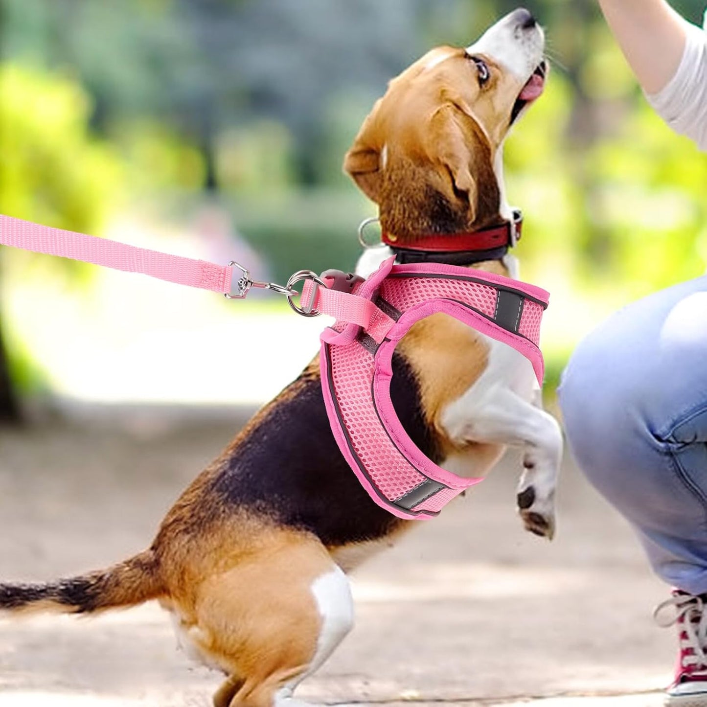 FRCOLOR Breathable Reflective Dog Harness with Leash Soft Mesh Pet Vest for Outdoor Walking One-Hand Operation Lightweight Style Pink S