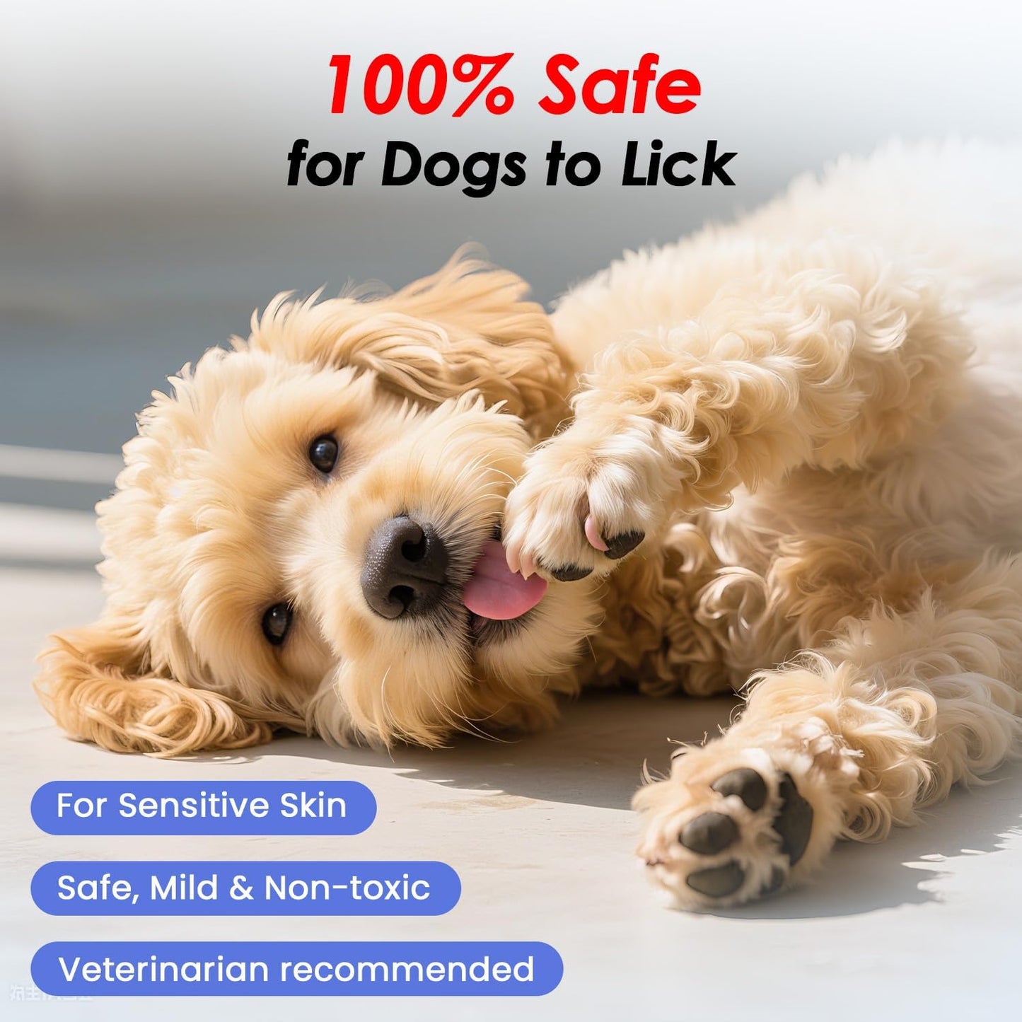 Waterless No Rinse Dog Dry Shampoo Spray for Smelly Dogs, Hypoallergenic & pH-Balanced, Deodorizing, Sensitive Skin Care, Safe for Puppies & Cats, Clean, Condition & Freshen