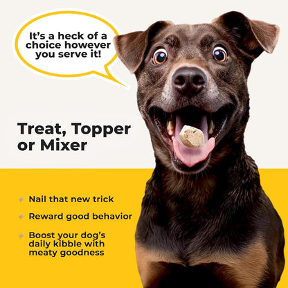 Beef Liver Dog Treats Freeze Dried - Single Ingredient Human Grade Raw Liver Bites for Training, Meal Topper, No Additives - High Protein (31g Per Cup) Dog Stocking Stuffers, Made in the USA, 4oz Bag