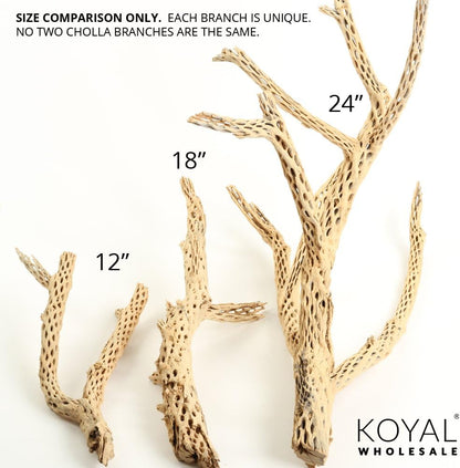 Koyal Wholesale 24" Cholla Wood Aquarium Leopard Gecko Tank Accessories Untreated Large Driftwood for Aquarium Wood Hermit Crab Accessories Drift Wood for Shrimp Tank Gecko Accessories