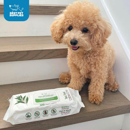 Best Pet Supplies Pet Grooming Wipes for Dogs & Cats,Deodorizer for Coats & Dry, Itchy, or Sensitive Skin, Clean Ears, Paws, Body, & Butt - Cleansing Tea Tree