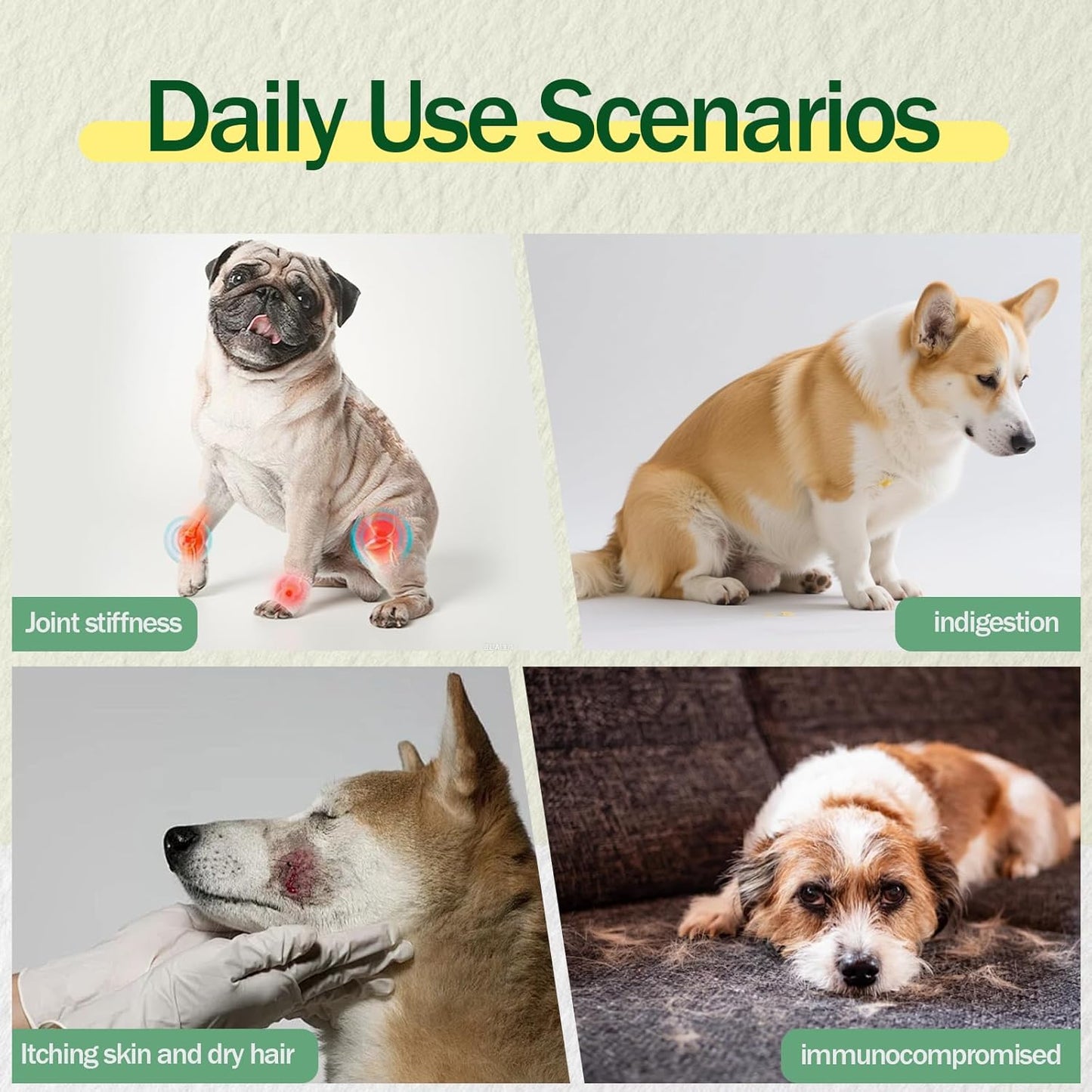 Dog Multivitamin Powder with Chondroitin, Omega 3 & Probiotics - 45-in-1 Daily Vitamins and Supplements for Dogs to Support Joint, Immune System, Digestive Health, Skin & Coat - 8.8 oz