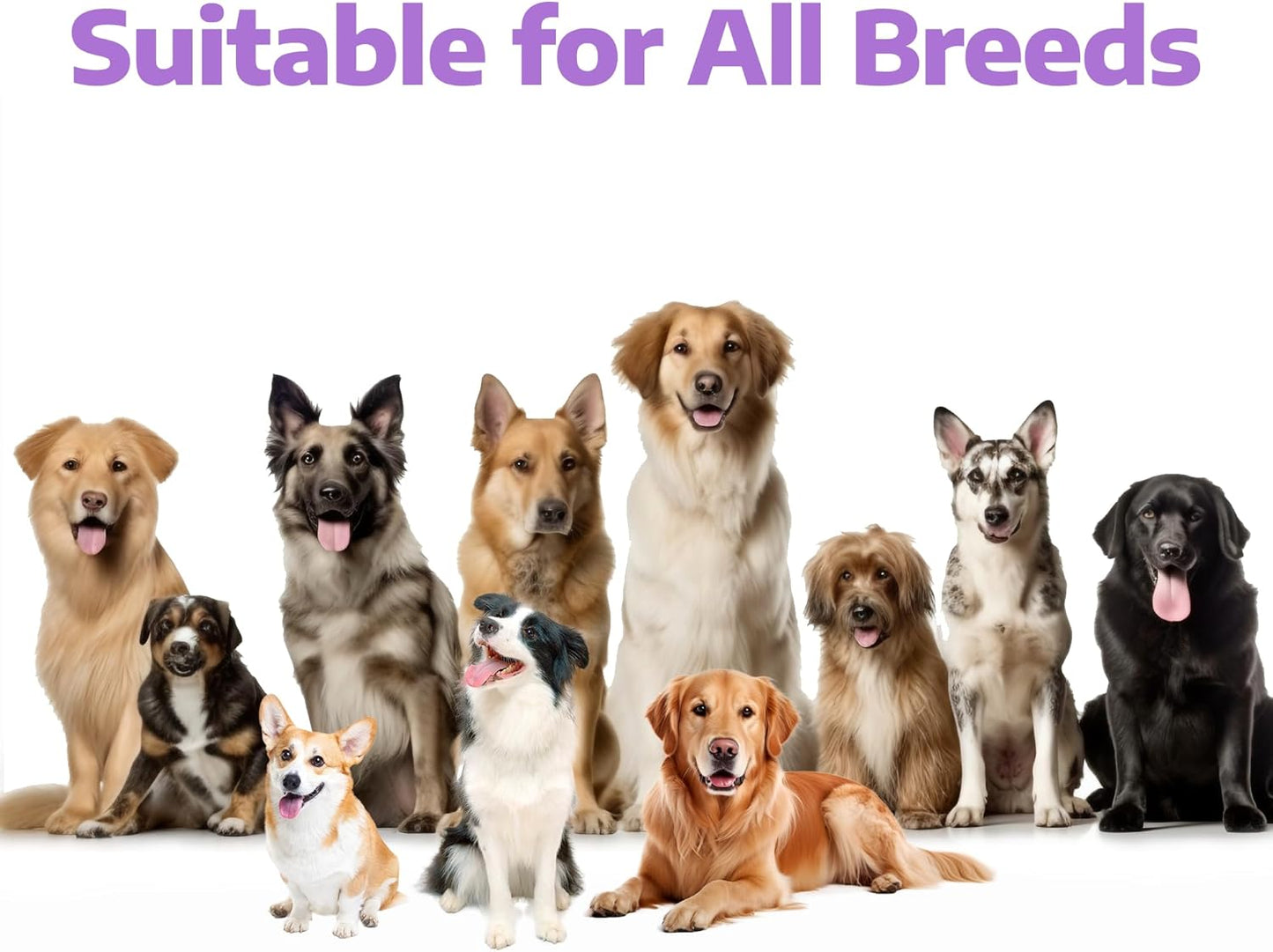 Fish Oil for Dogs, Vet-Formulated, US-Formulas Oral Natural Omega 3 & 6 Treatment Supplements – EPA & DHA Fatty Acids for Itchy Skin, Shedding & Allergy Relief – 180 Chicken Soft Chews