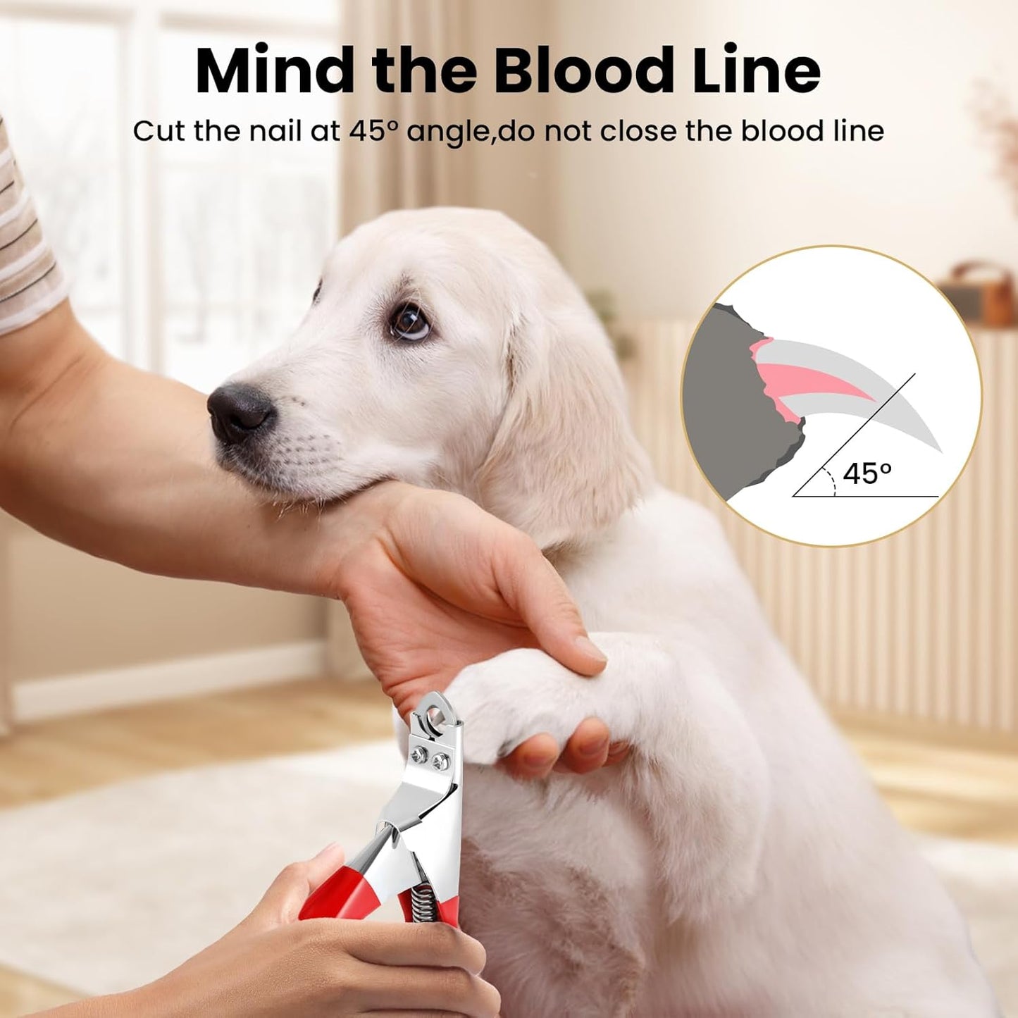 PETTOM Slow Feeder Cat Bowl Ceramic Raised，Dog Cat Nail Clipper Stainless Steel