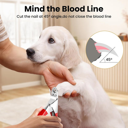 PETTOM Slow Feeder Cat Bowl Ceramic Raised，Dog Cat Nail Clipper Stainless Steel