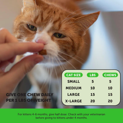 Cat Probiotics Gut + Immune Health Chews – Crunchy & Creamy Cat Treats for Digestive Health, Gut Flora & Constipation Relief – Supports Immunity, Regularity, & Healthy Digestion, 30-Day Supply Chicken