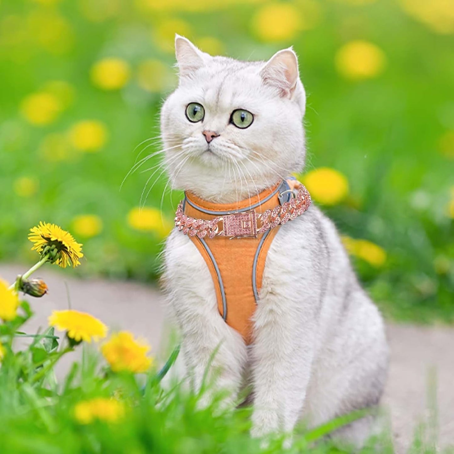 Dog Chain Collar Diamond Link Dog Collar Walking Dog Necklace Metal Cat Chain with Secure Buckle Pet Crystal Collar for Small Medium Large Dogs Cats (Pink, 18 Inch)