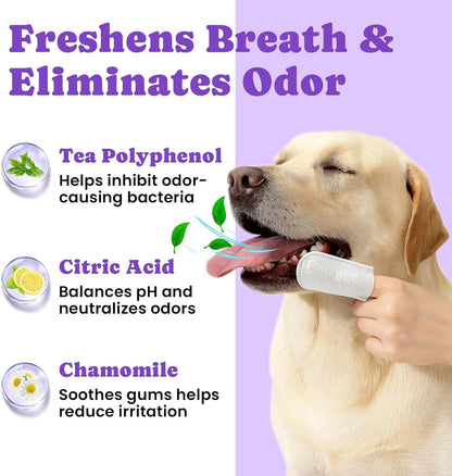 No-Rinse Dog Dental Care Wipes, Cat & Dog tooth brushing kit, Dog Wipes for Pet & Cat Teeth Cleaning, Dog toothbrush Finger Dental Wipes to Remove Plaque & Tartar, Disposable Dog Wipes - 50 Count