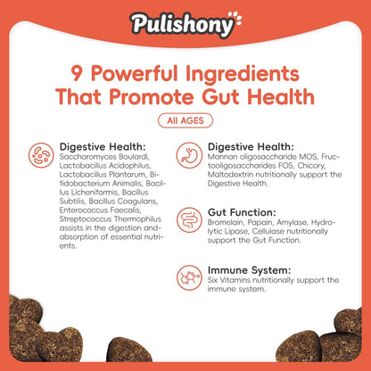 Probiotics for Dogs -Digestive Enzymes for Gut Flora, Digestive Health, Diarrhea & Bowel Support -9 in 1 Probictics- Dog Supplement Soft Chew for Pet Immune System - Chicken-（90Count）