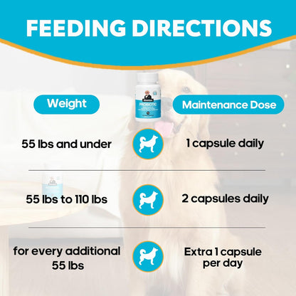 Probiotics for Dogs, Dog Probiotics with Digestive Enzymes with and Prebiotics for Support Gut & Digestion Health, Immune Support, Reduce Diarrhea, 60 Capsules