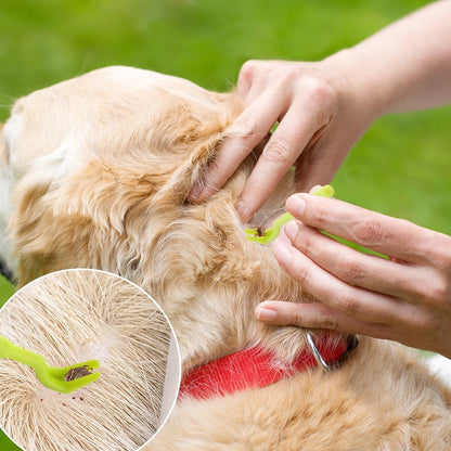 10 Pcs Pet Tick Remover Tool, Stainless Steel Tick Remover Tick Plastics Remover for Cats and Dogs, Pet Tools, Silver, Green
