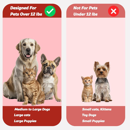 Pets & Pupps Pet Toothbrush for Dogs, Cats with Soft Bristles - Easy Teeth Cleaning & Dental Care, Non Slip Dual Head Dog Toothbrush