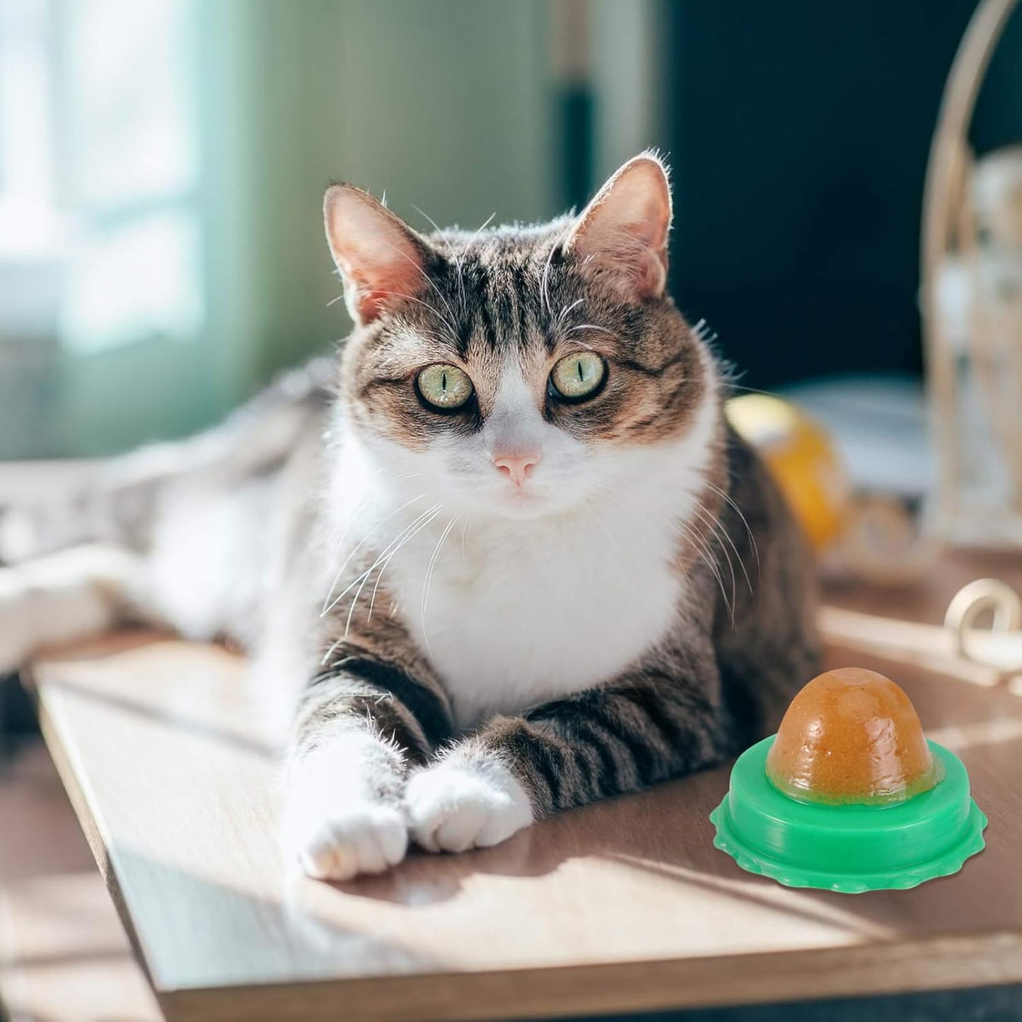 DOITOOL 9 Pcs Cat Catnip Balls Cat Nip Balls Wall, Kitty Teeth Cleaning Lickable Treats Stick to Wall, Pet Kitten Licking Candy Chew Toys