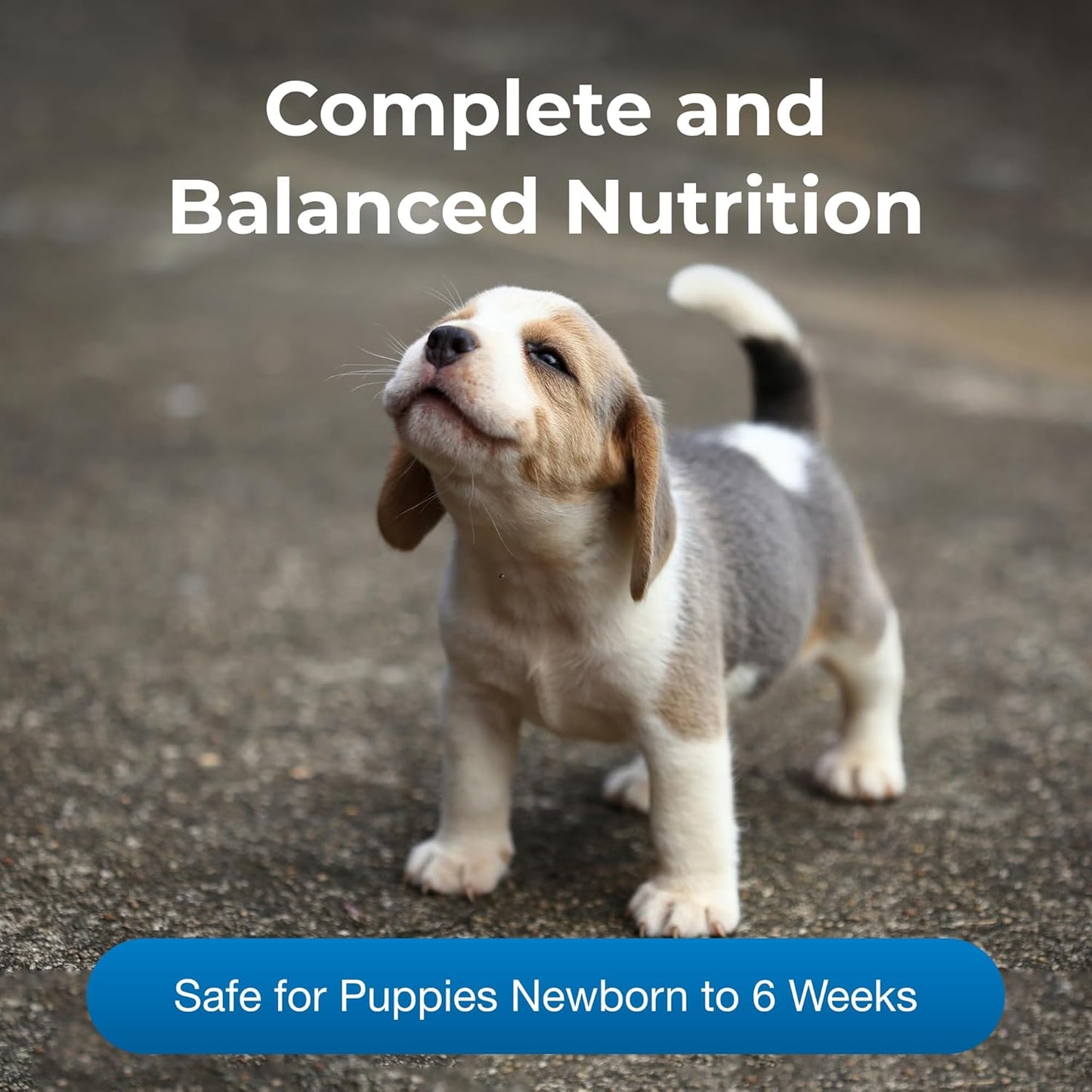 Pet-Ag PetLac Powder for Puppies - 10.5 oz - Puppy Milk Replacement Powder for Puppies Newborn to Six Weeks Old - Easy to Digest